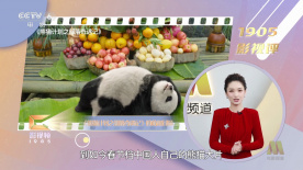 综合久久一区二区三区